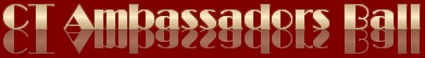 The Ambassadors Ball