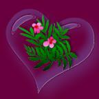 flower heart ct image